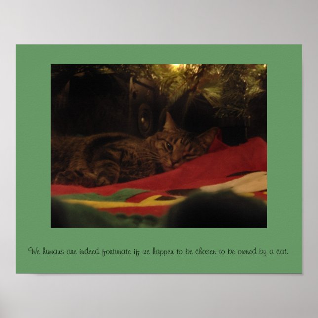 Affiche Christmas Cat (Devant)