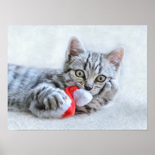 Affiche Christmas Kitten (Devant)