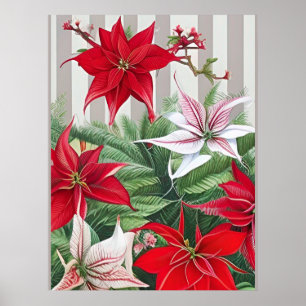Affiche Christmas Red Amaryllis and Poinsettias