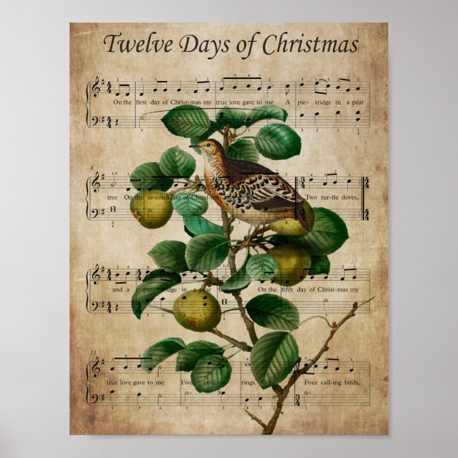 Affiche Christmas Wall Art-Partridge in a Pear Tree (Devant)