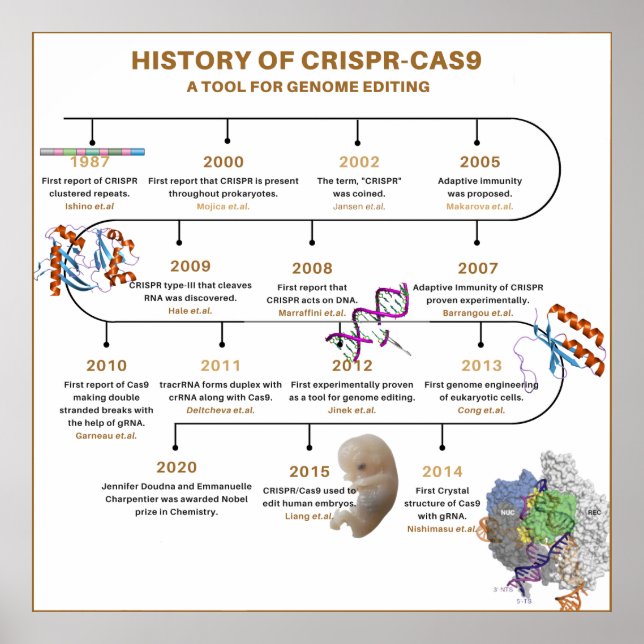 Affiche Chronologie de CRISPR (Devant)
