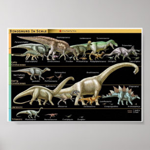 Affiche Chronologie des dinosaures Biologie