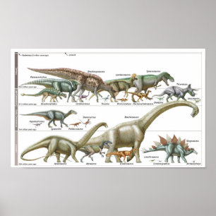Affiche Chronologie des dinosaures Biologie jurassique