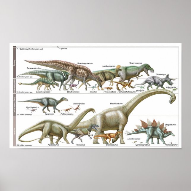 Affiche Chronologie des dinosaures Biologie jurassique (Devant)