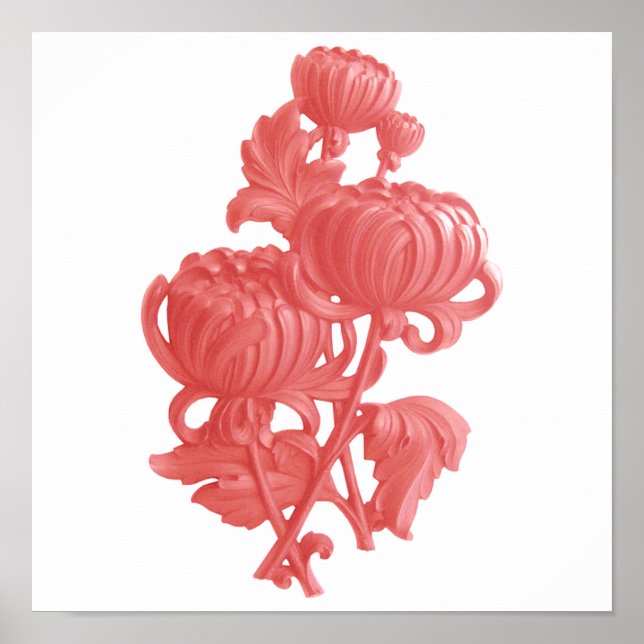 Affiche Chrysanthème rose (Devant)