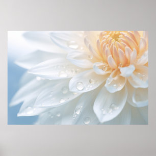 Affiche Chrysanthemum Fleur Pétale Nature Serene