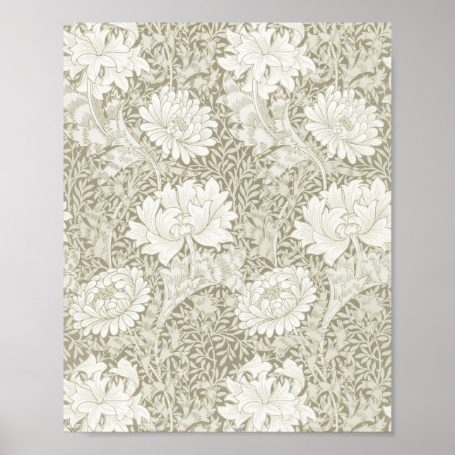 Affiche Chrysanthemum Ivory, William Morris (Devant)