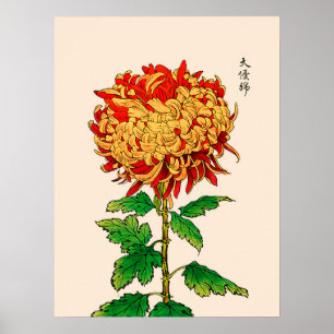 Affiche Chrysanthemum japonais vintage. Or et orange