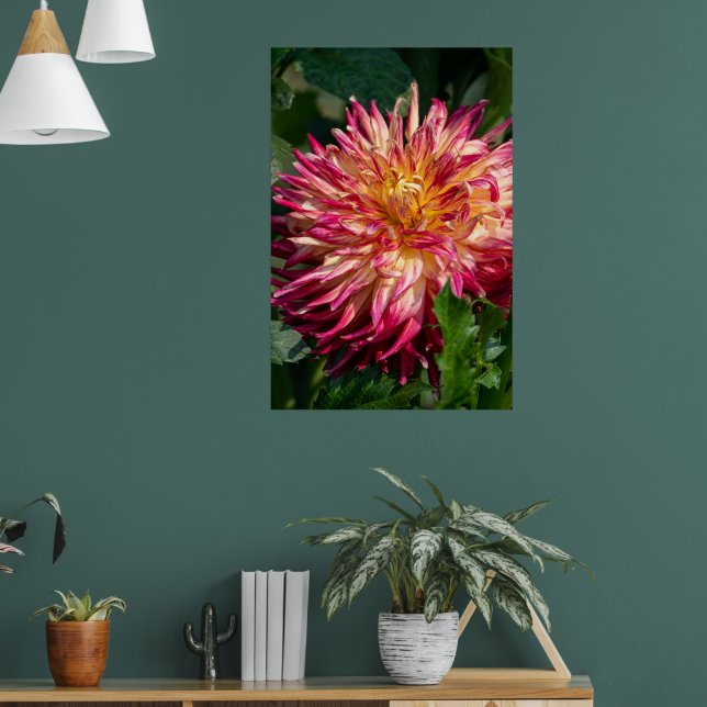 Affiche Chrysanthemum Orange Canadian Flower Photography (Salon 1)