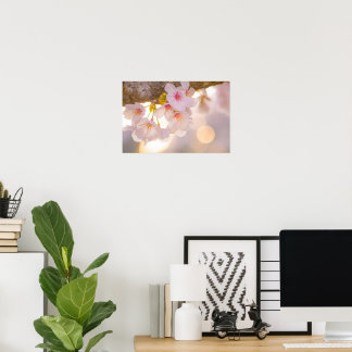 Affiche Chuchotements de printemps – Cerisiers en fleurs a