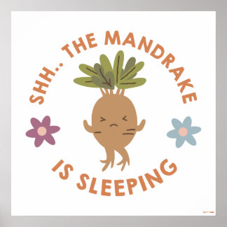Affiche Chut... Le Mandrake Dort