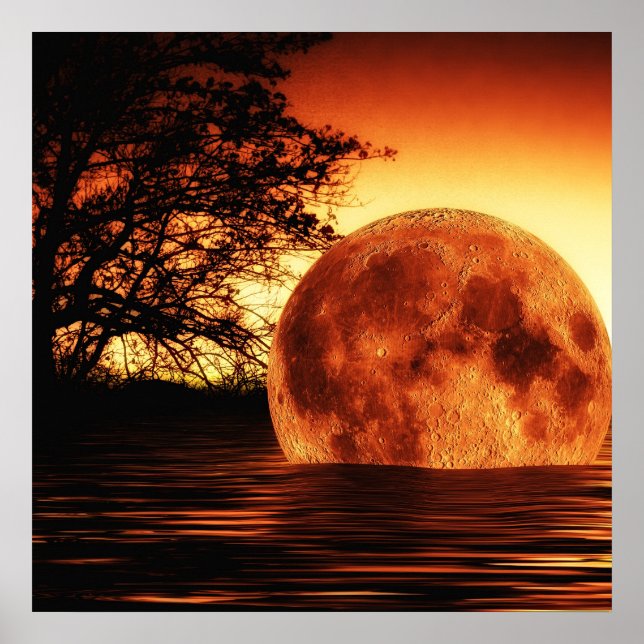 Affiche Chute de la rivière Moon (Devant)