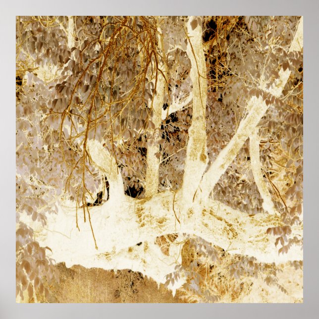 Affiche Chute d'or.... (Devant)