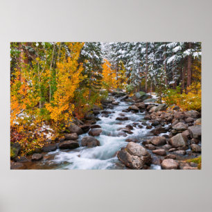 Affiche Chute le long du ruisseau Bishop, Californie