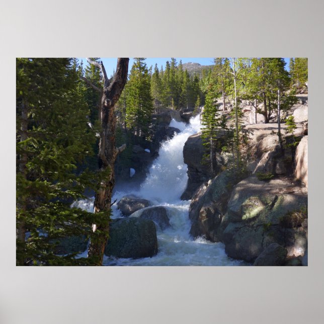 Affiche Chutes Alberta I (Devant)