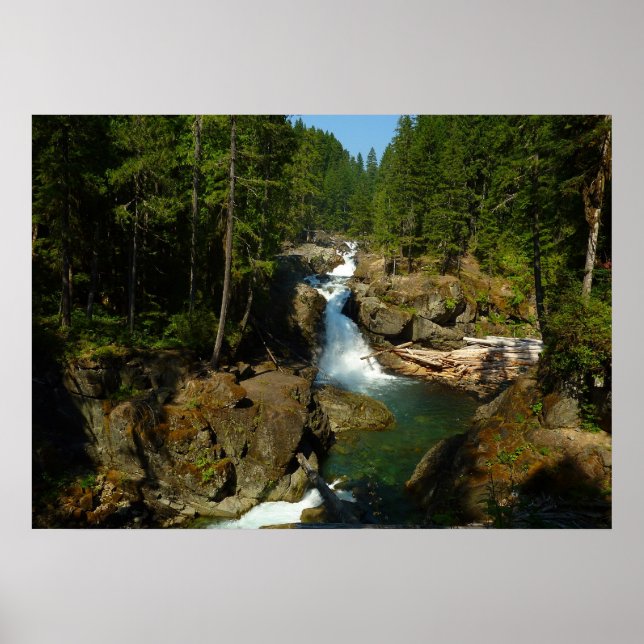 Affiche Chutes d'argent au Parc national du mont Rainier (Devant)