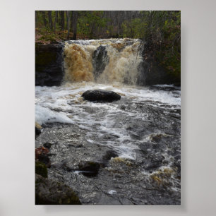 Affiche Chutes de bière racine