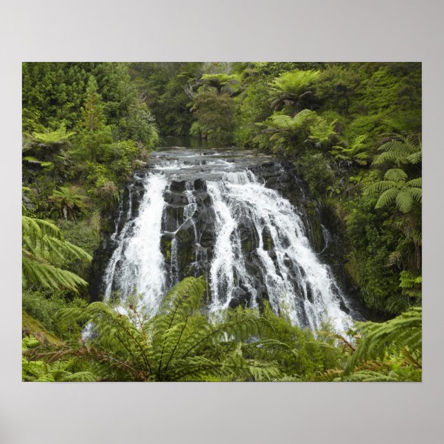 Affiche Chutes d'Owharoa, Gorge de Karangahake, près de Pa (Devant)