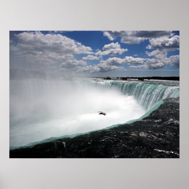 Affiche Chutes du Niagara avec Mouette (Devant)