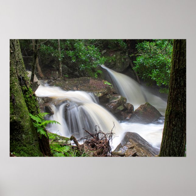 Affiche Chutes du ruisseau Drakes (Devant)