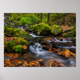 Affiche Chutes du ruisseau Starvation   Columbia Gorge, Or