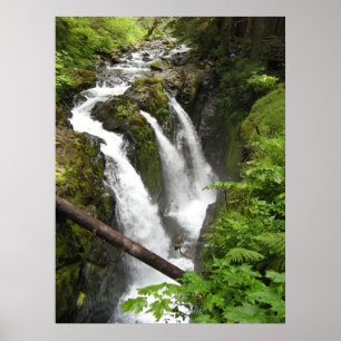 Affiche Chutes Sol Duc