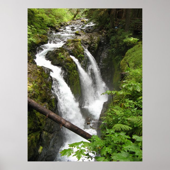Affiche Chutes Sol Duc (Devant)