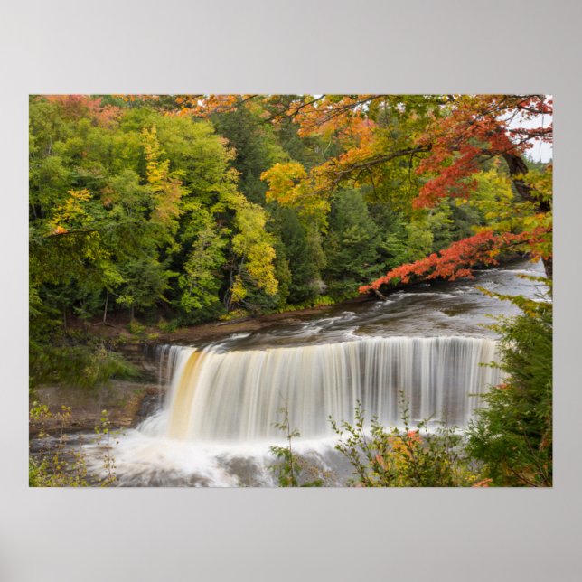 Affiche Chutes Tahquamenon en automne (Devant)