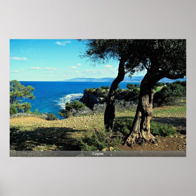Affiche Chypre (Devant)