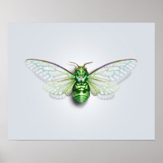 Affiche Cicada