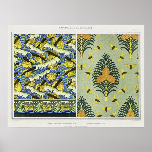 Affiche Cicadas, poissons volants et coquilles de Nautilus (Devant)