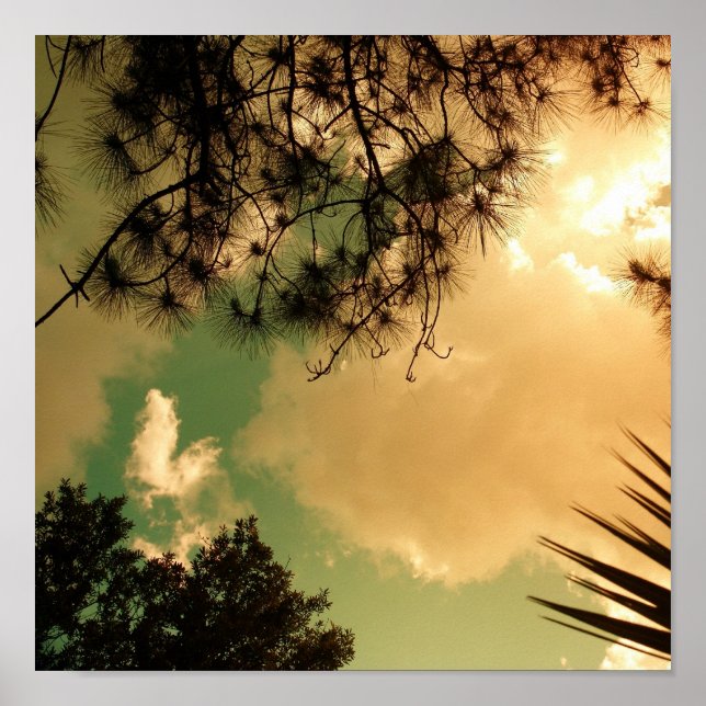 Affiche Ciel (Devant)