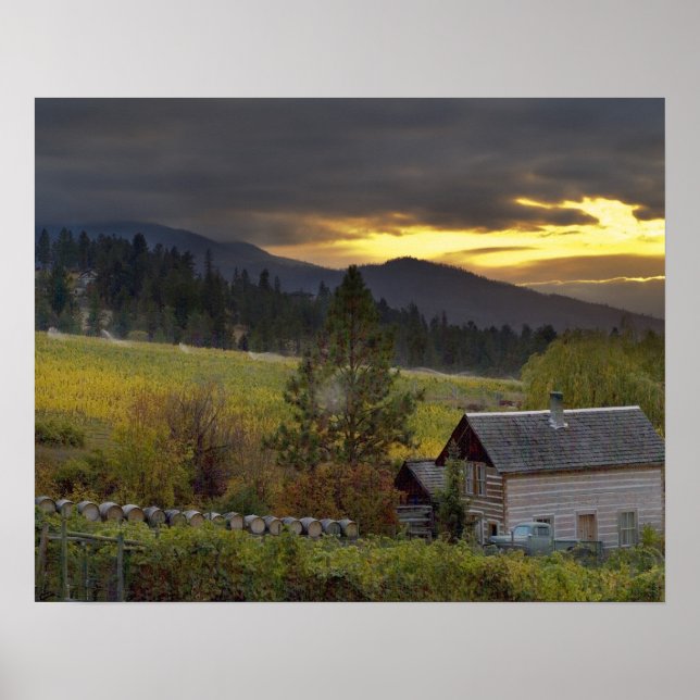 Affiche Ciel coucher de soleil sur les vignobles et le cab (Devant)
