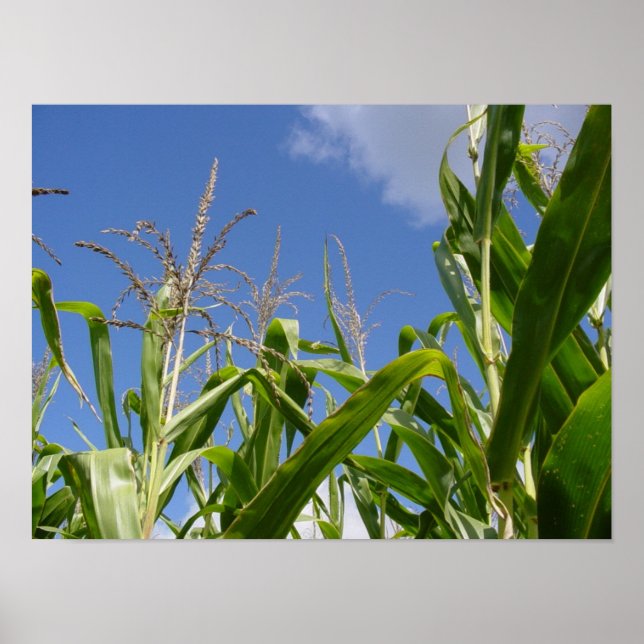 Affiche Ciel de Corny (Devant)