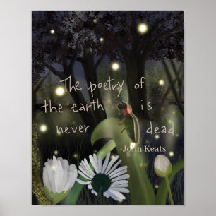 Affiche Ciel de luciole