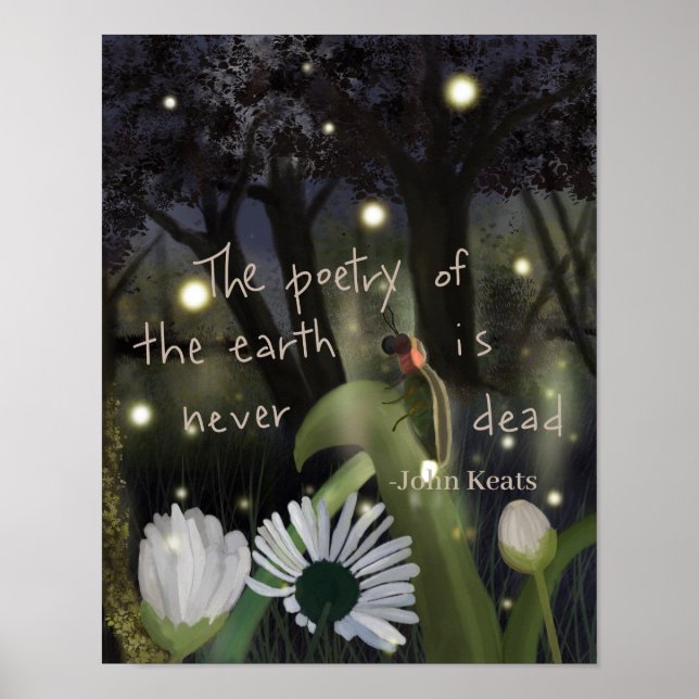 Affiche Ciel de luciole (Devant)