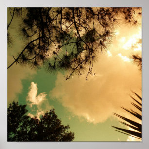 Affiche Ciel de Senic