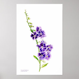 Affiche Ciel pourpre fleur botanique art par Sarah Trett