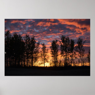 Affiche Ciel rouge à l'affiche de nuit