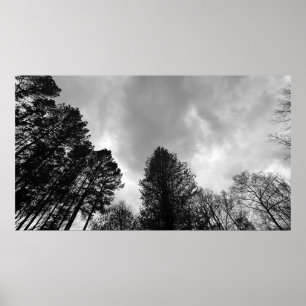 Affiche Ciels nuageux,