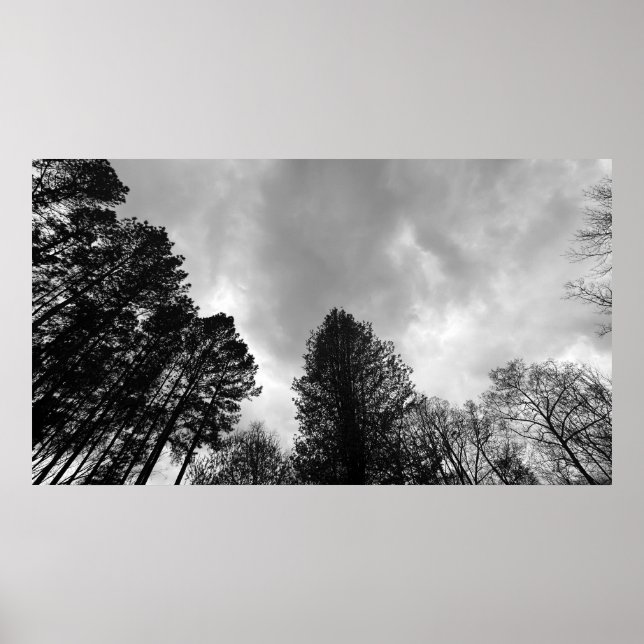 Affiche Ciels nuageux, (Devant)