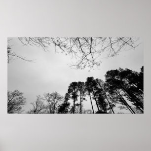 Affiche Ciels nuageux,