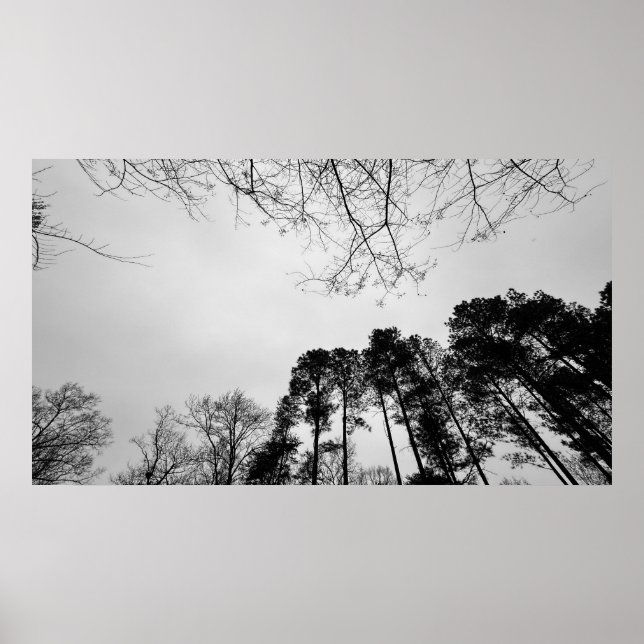 Affiche Ciels nuageux, (Devant)