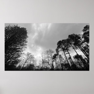 Affiche Ciels nuageux,