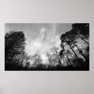 Affiche Ciels nuageux,