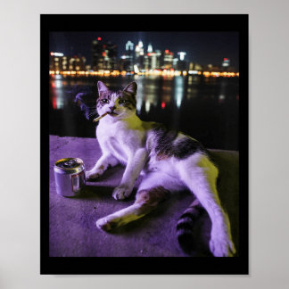 Affiche Cigarette Kitten Drôle Fumer Chat Mème Bra Stupide