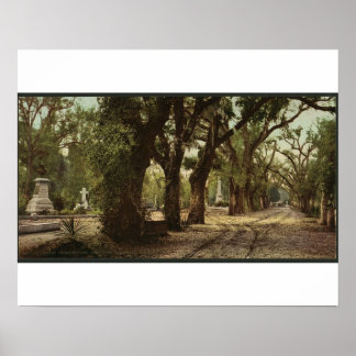 Affiche Cimetière Bonaventure, Savannah, Géorgie vers 1901