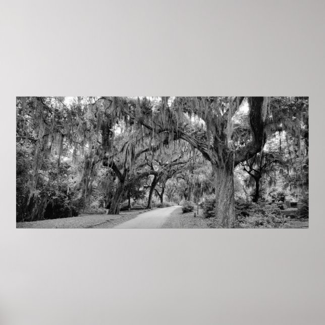 Affiche Cimetière, Savannah Ga, MD Photographie (Devant)