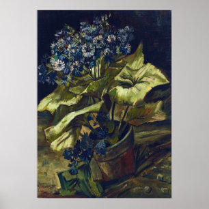 Affiche Cineraria de Van Gogh dans un pot de fleurs