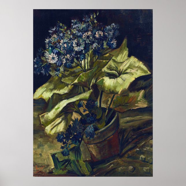 Affiche Cineraria de Van Gogh dans un pot de fleurs (Devant)